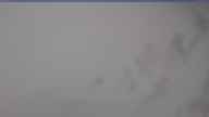 20250212_132002.jpg 