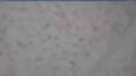20250212_152002.jpg 
