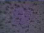20250212_174002-1.jpg 