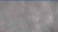 20250214_094002.jpg 