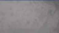 20250217_084002.jpg 