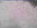 20250217_124001-1.jpg 
