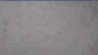 20250218_114002.jpg 