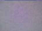 20250220_070002-1.jpg 