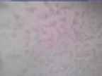 20250220_144002-1.jpg 