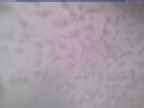 20250220_154001-1.jpg 
