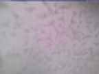 20250220_160001-1.jpg 