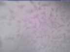 20250220_164001-1.jpg 