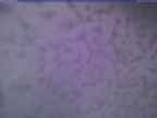20250220_174002-1.jpg 