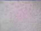 20250222_090002-1.jpg 