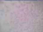 20250222_100002-1.jpg 