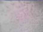 20250222_110001-1.jpg 