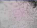 20250222_124002-1.jpg 