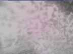 20250222_164002-1.jpg 