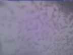 20250222_172002-1.jpg 