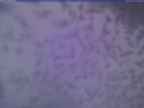 20250222_174002-1.jpg 