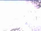 20250225_100001-1.jpg 