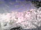 20250225_130002-1.jpg 