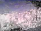 20250225_140001-1.jpg 