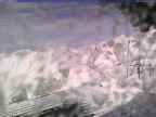 20250225_144001-1.jpg 
