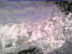 20250225_150002-1.jpg 