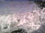 20250225_152002-1.jpg 