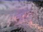 20250225_174001-1.jpg 