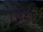 20250225_180001-1.jpg 