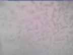 20250226_112002-1.jpg 