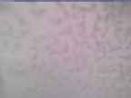 20250226_120001-1.jpg 