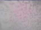 20250226_130002-1.jpg 