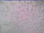 20250226_132001-1.jpg 