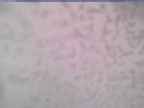20250226_134001-1.jpg 