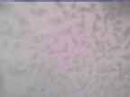 20250226_140002-1.jpg 
