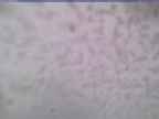 20250226_142002-1.jpg 