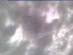 20250227_114002-1.jpg 