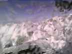 20250227_152002-1.jpg 