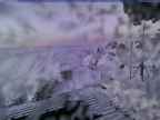 20250227_174002-1.jpg 