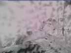 20250228_110001-1.jpg 