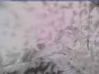 20250228_120001-1.jpg 