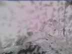 20250228_124002-1.jpg 
