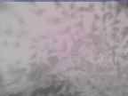 20250228_140001-1.jpg 