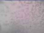 20250228_144001-1.jpg 
