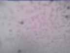 20250228_154001-1.jpg 