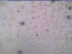 20250228_160002-1.jpg 