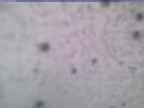 20250228_162001-1.jpg 
