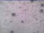 20250228_164002-1.jpg 