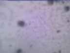 20250228_170001-1.jpg 
