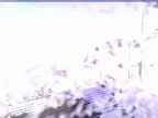 20250301_082001-1.jpg 