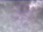 20250302_170001-1.jpg 